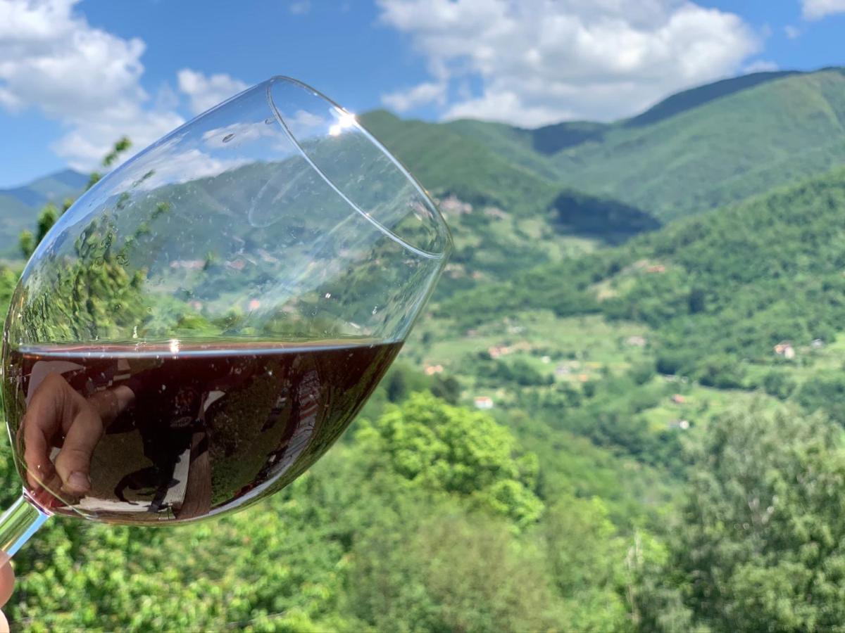 Casa Emma Fiattone In Garfagnana Villa Kültér fotó